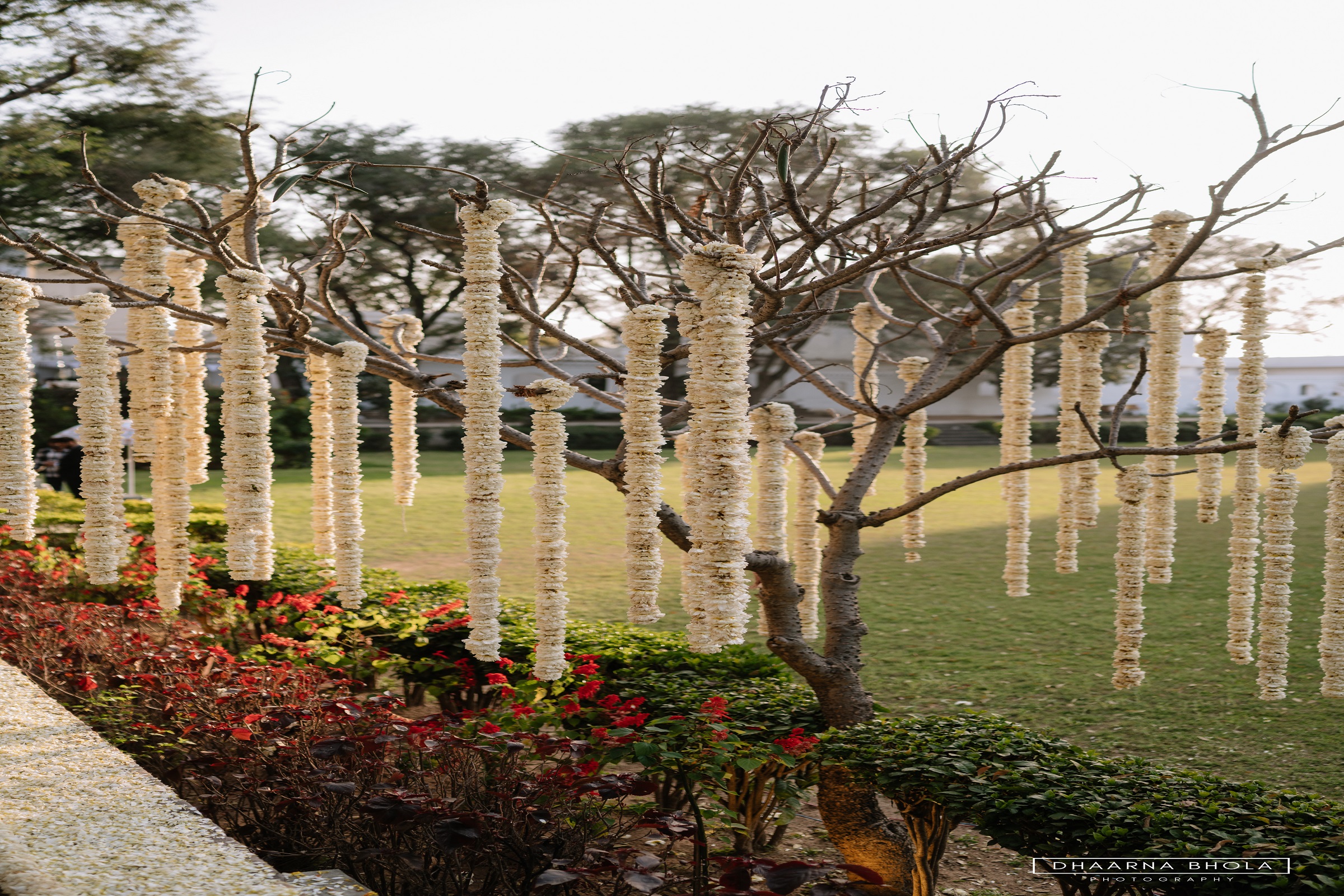 Image from Wedding - Samode Bagh